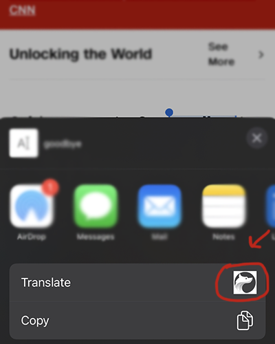 wolfling Apple save translation out of app step 2.